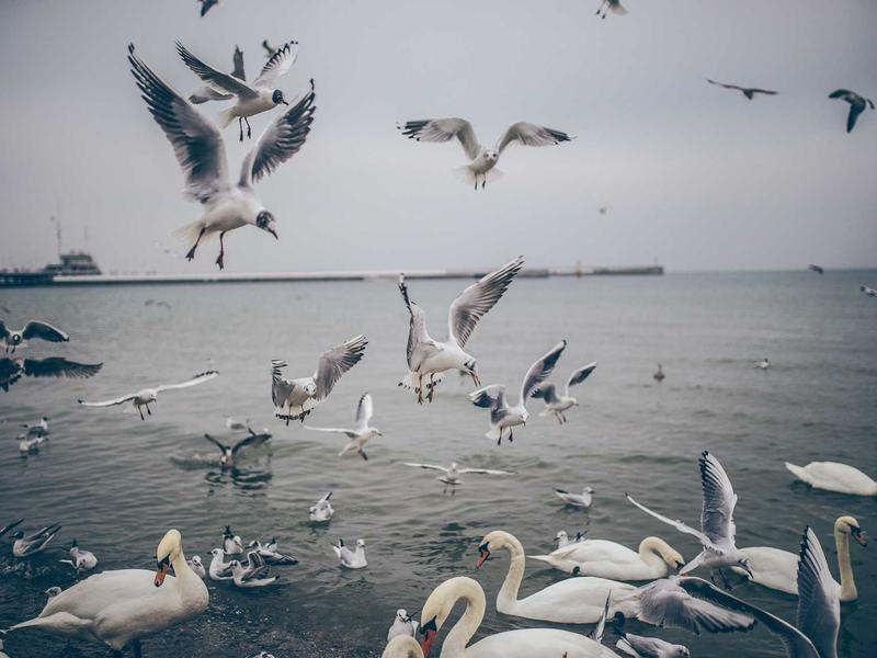 android screenshot 4